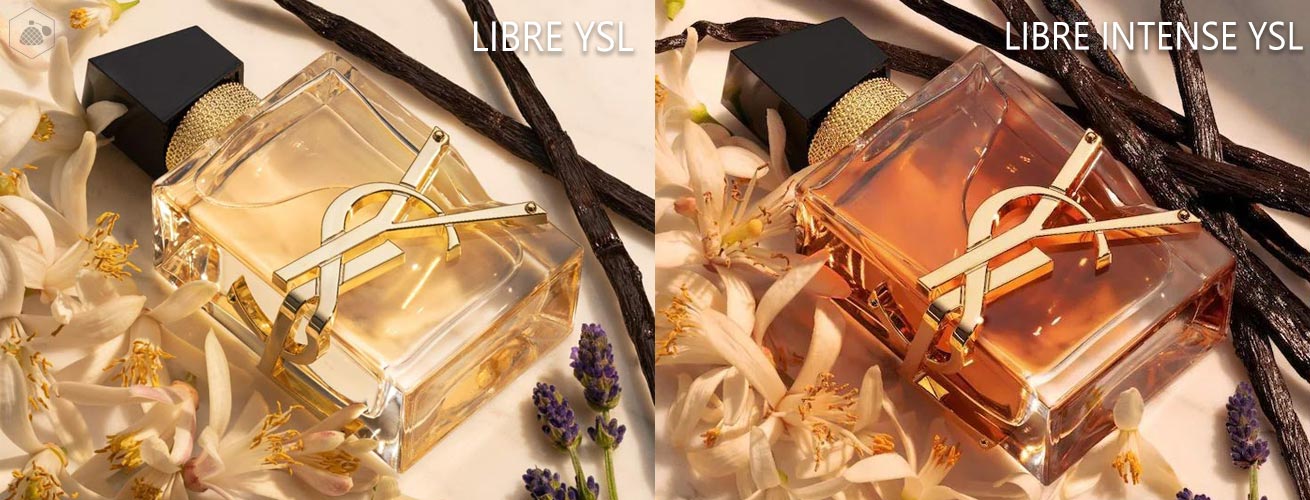 LIBRE YSL