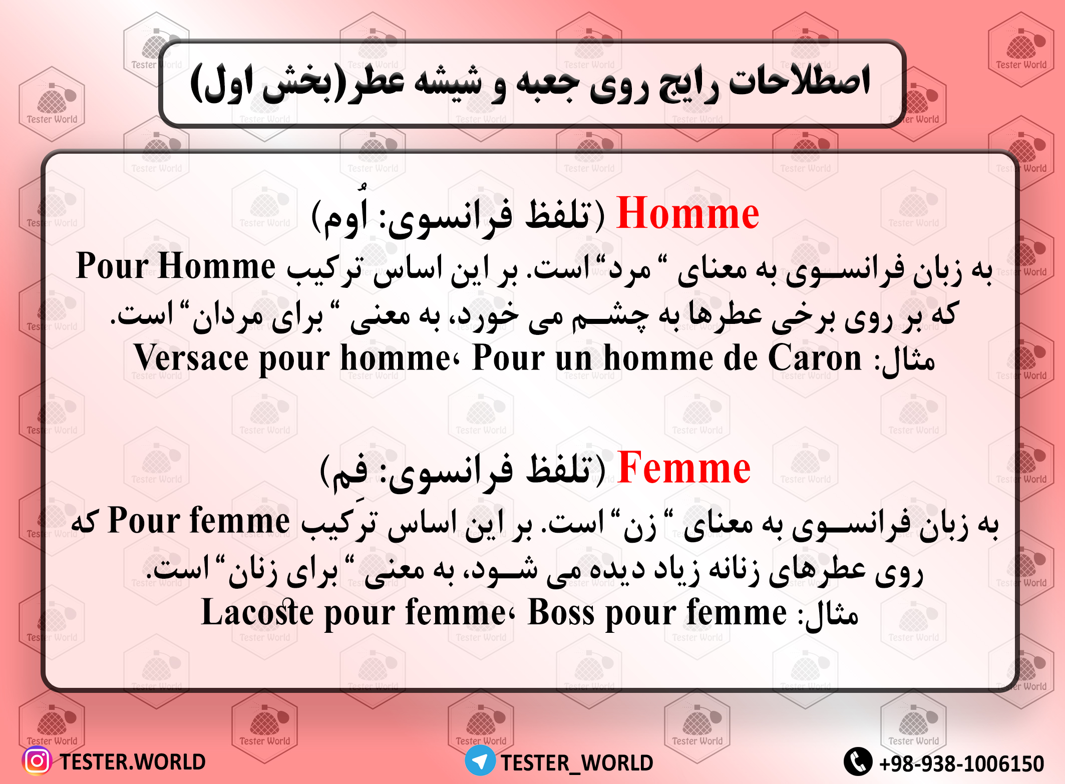 اصطلاحات رایج روی شیشه عطر (بخش اول)